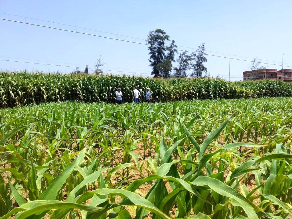 PHOTOS… SUCCESS OF THE MOST ADVANCED IRRIGATION SYSTEMS ALL OVER THE